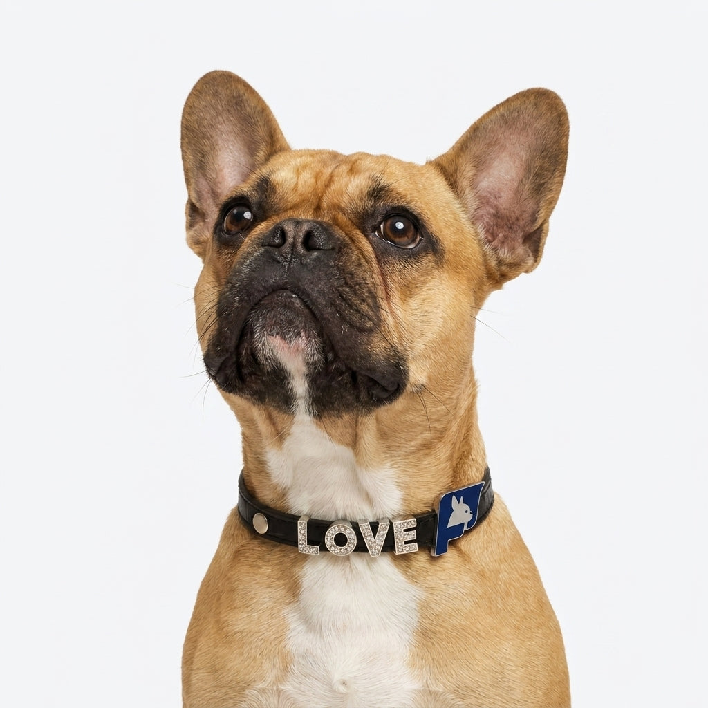 Frenchie-Custom-Glitter-Collar-Leash-Set.jpg