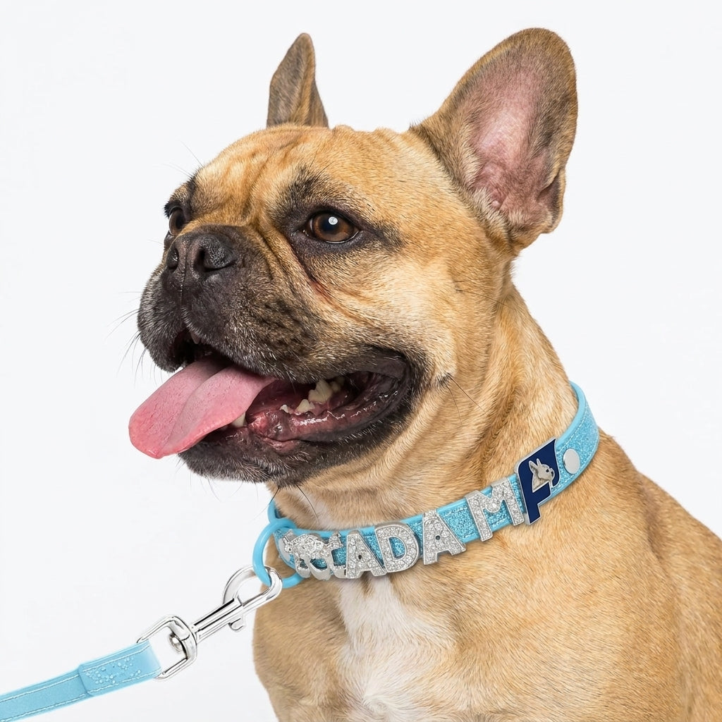 Frenchie-Custom-Glitter-Collar-Leash-Set.jpg