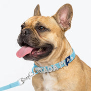 Frenchie-Custom-Glitter-Collar-Leash-Set.jpg