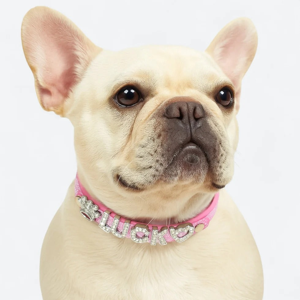 Frenchie-Custom-Glitter-Collar-Leash-Set.jpg