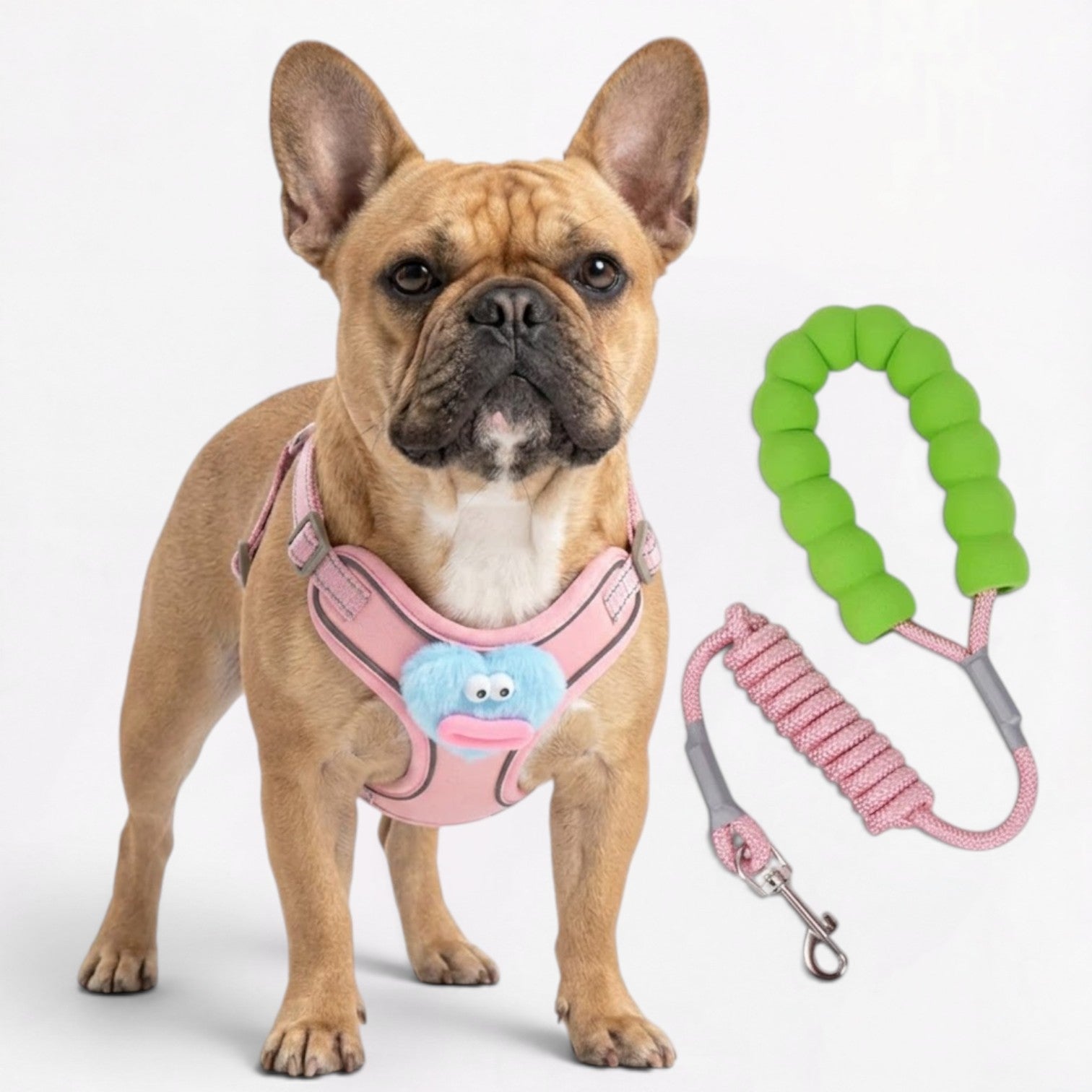 Frenchie-Cute-Plush-Harness-Leash-Set.jpg