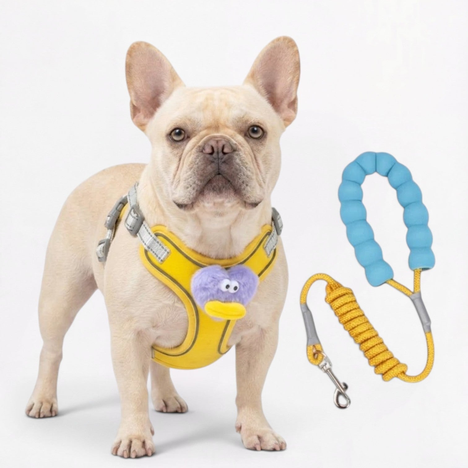 Frenchie-Cute-Plush-Harness-Leash-Set.jpg