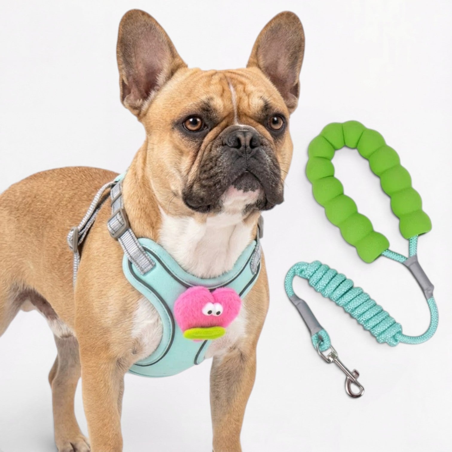 Frenchie-Cute-Plush-Harness-Leash-Set.jpg