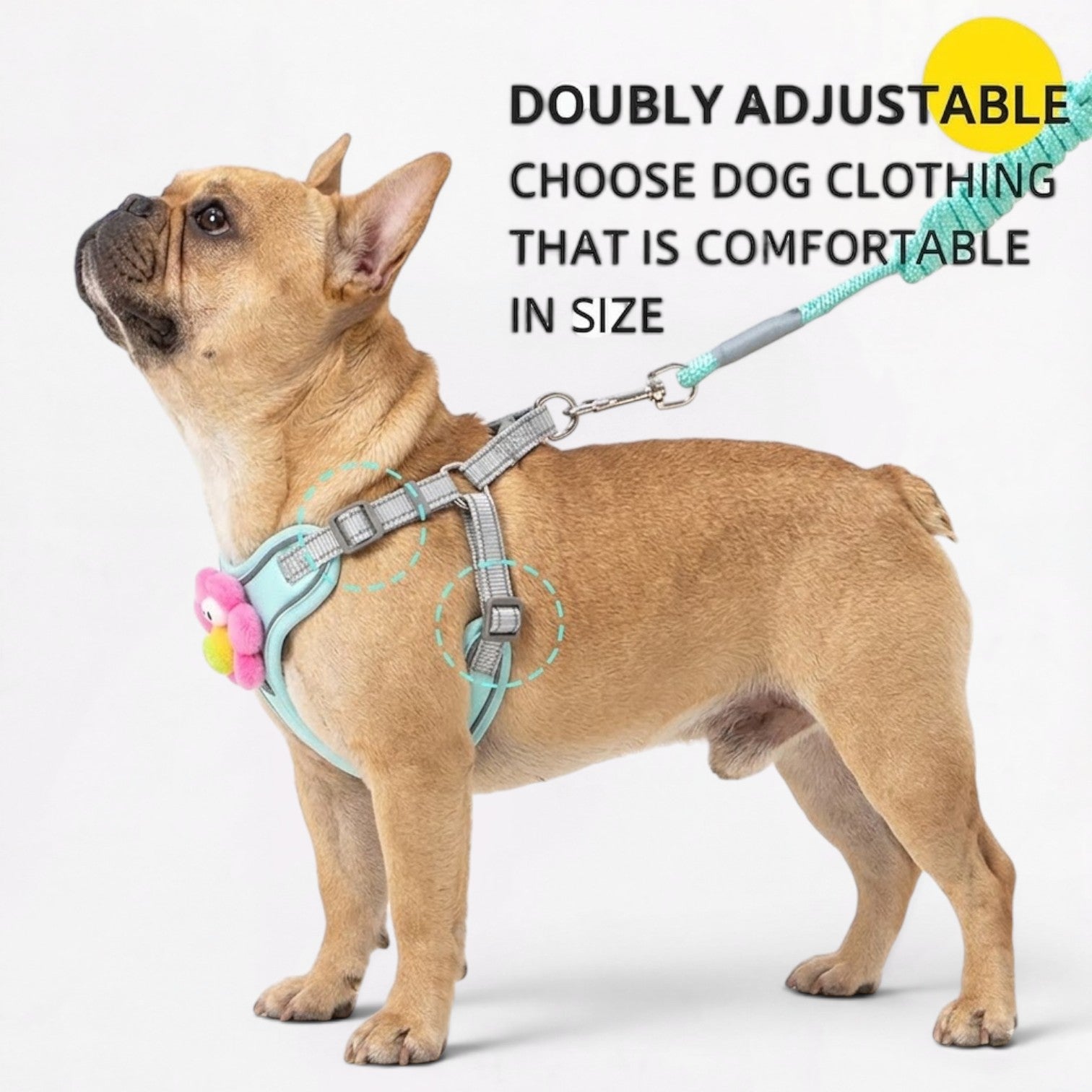 Frenchie-Cute-Plush-Harness-Leash-Set.jpg