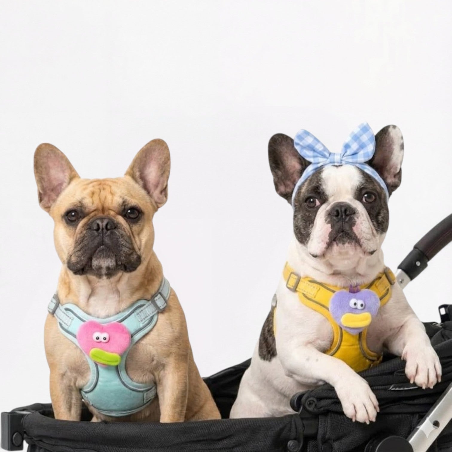 Frenchie-Cute-Plush-Harness-Leash-Set.jpg