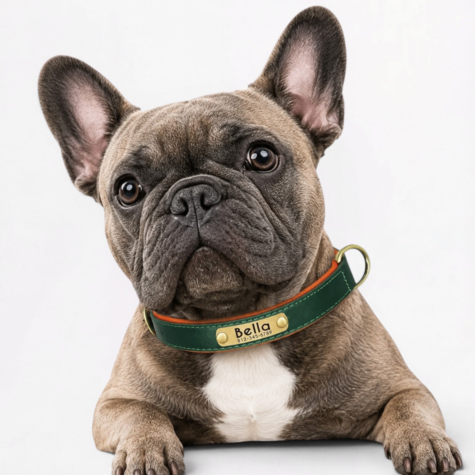 Frenchie-Engraved-Leather-Collar.jpg