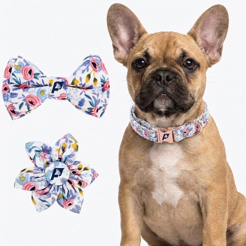 Frenchie-Flower-Decorative-Collar-Leash-Set.jpg