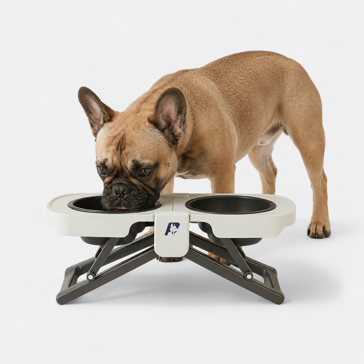 Frenchie-Foldable-Double-Bowl-Feeder.jpg
