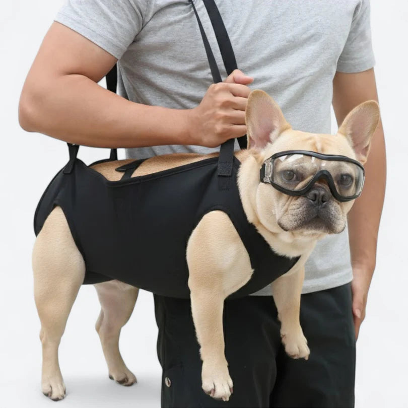 Frenchie-Full-Body-Support-Sling-Harness.jpg