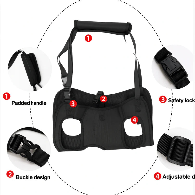 Frenchie-Full-Body-Support-Sling-Harness.jpg