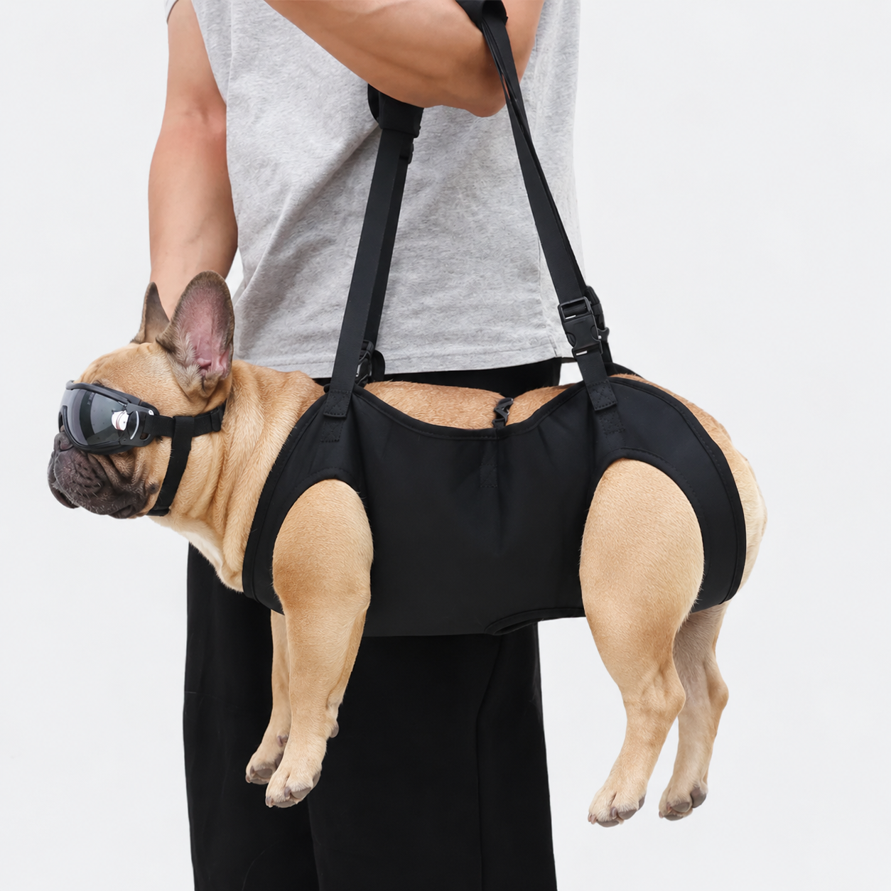 Frenchie-Full-Body-Support-Sling-Harness.jpg