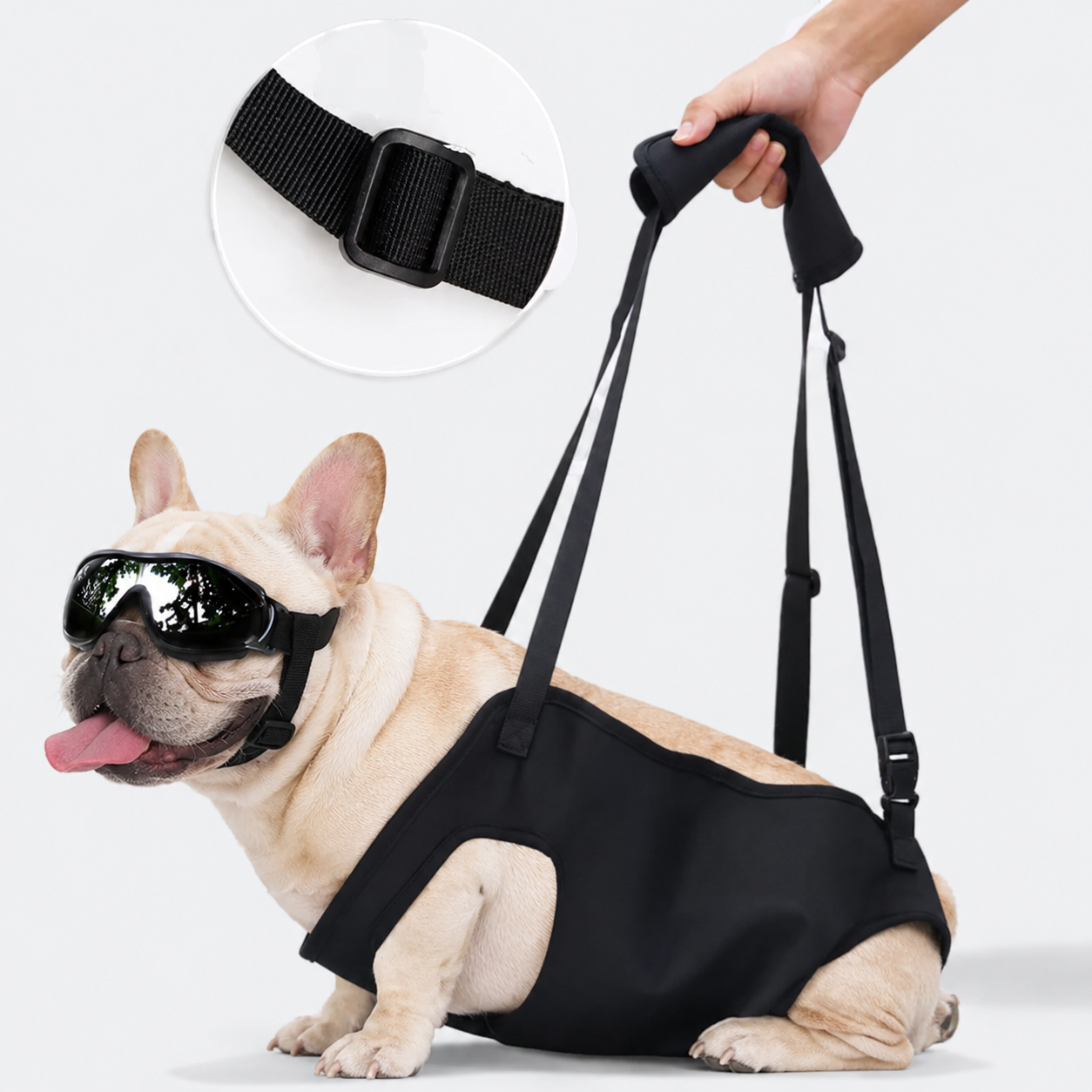 Frenchie-Full-Body-Support-Sling-Harness.jpg