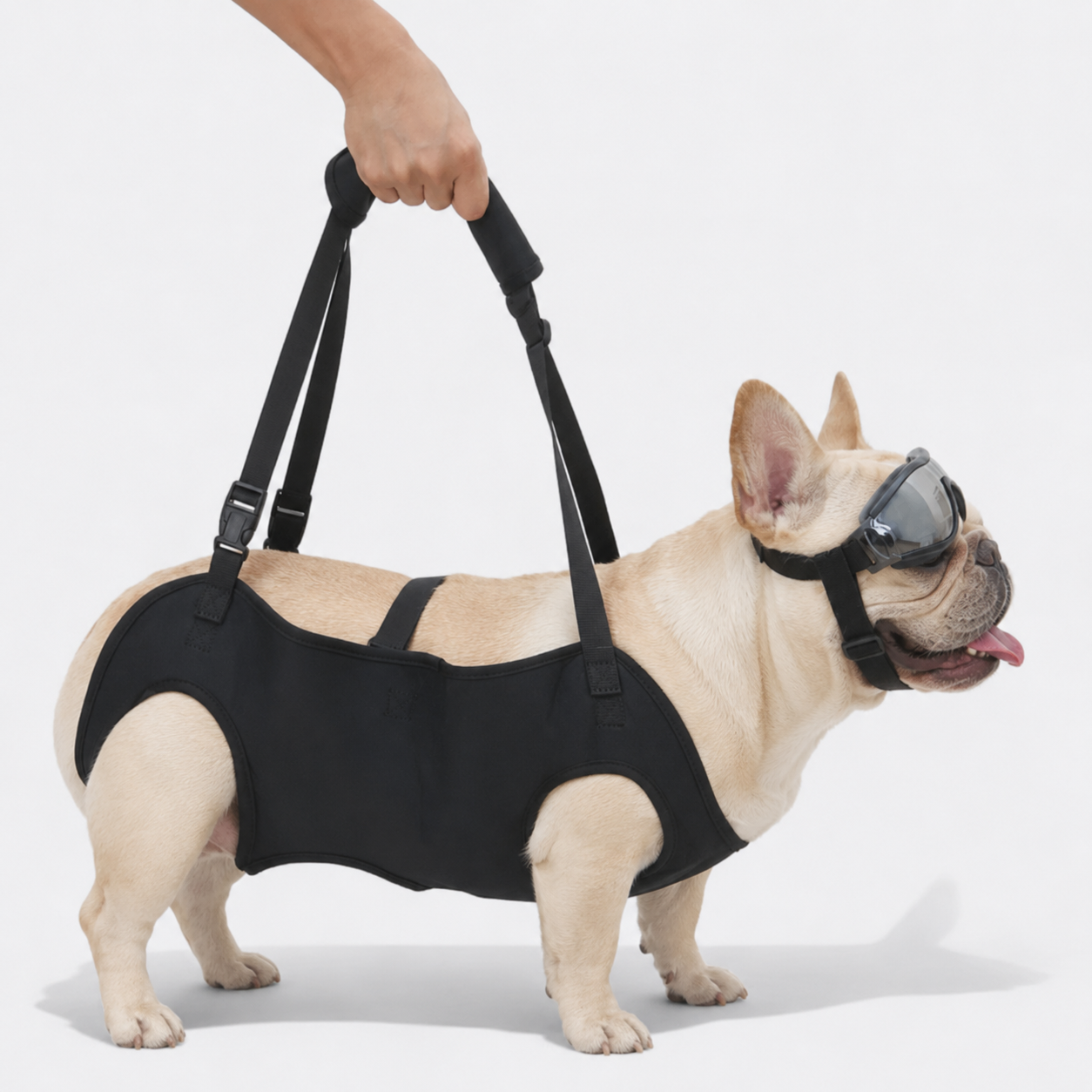 Frenchie-Full-Body-Support-Sling-Harness.jpg