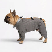 Frenchie-Full-Body-Waterproof-Jumpsuit.jpg