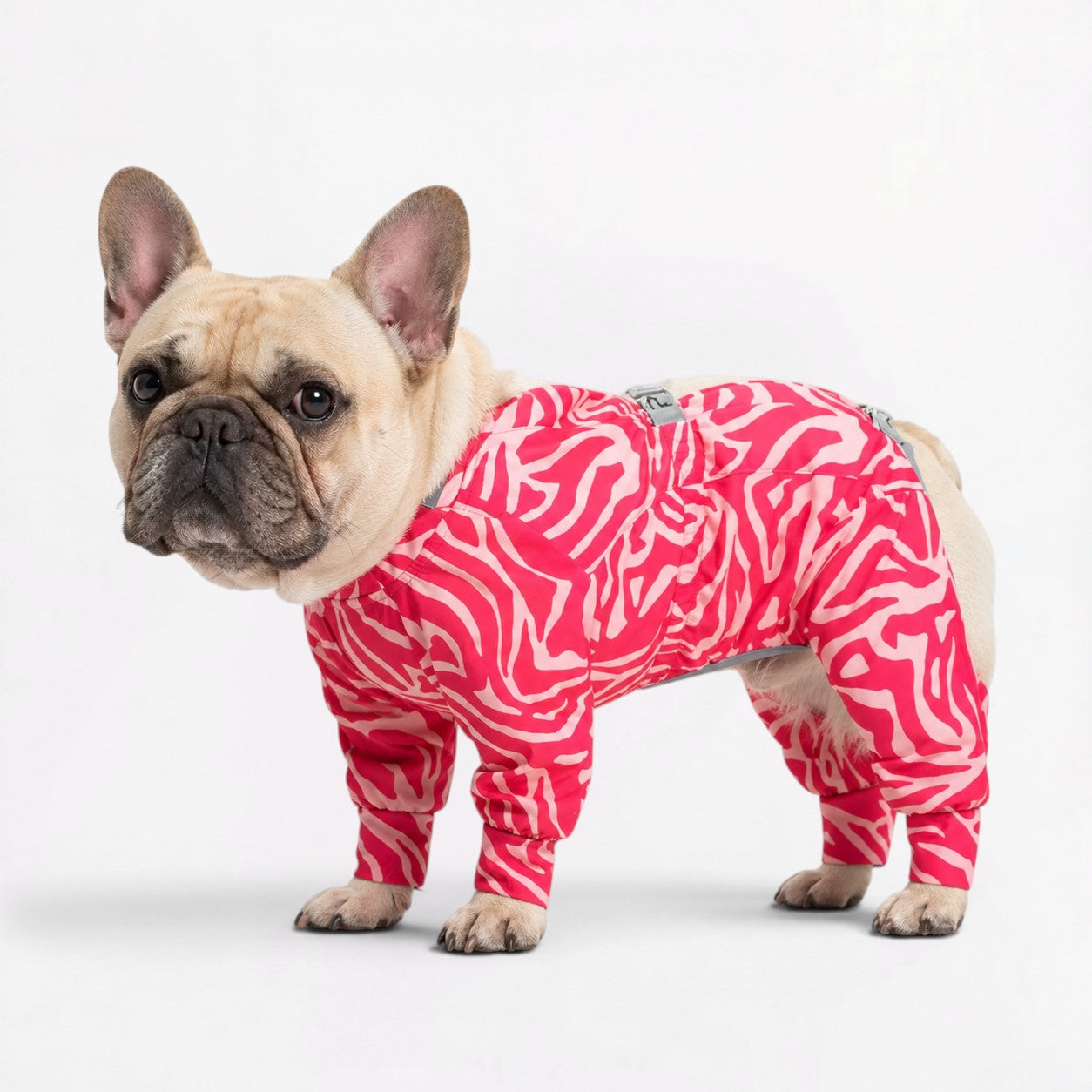 Frenchie-Full-Body-Waterproof-Jumpsuit.jpg