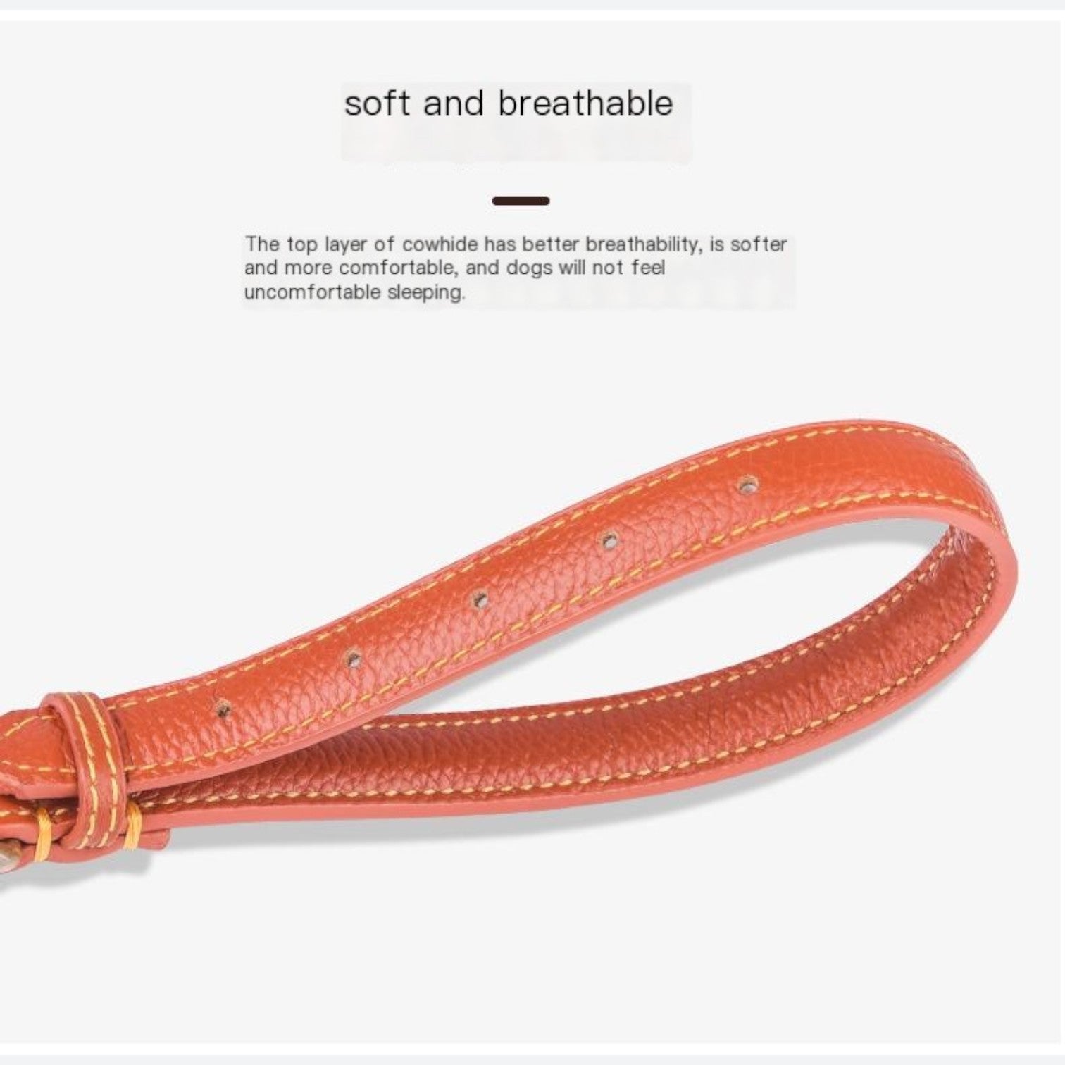 Frenchie-Full-Grain-Leather-Collar.jpg