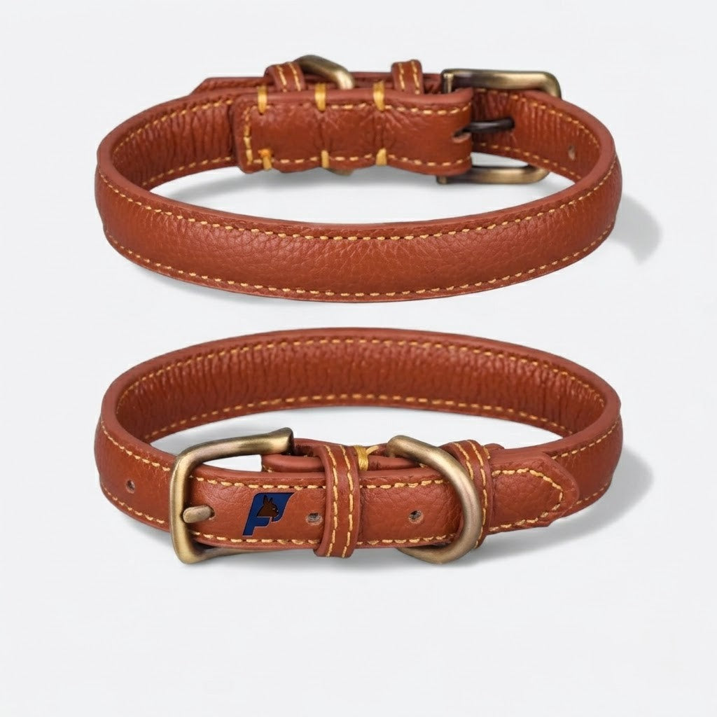 Frenchie-Full-Grain-Leather-Collar.jpg