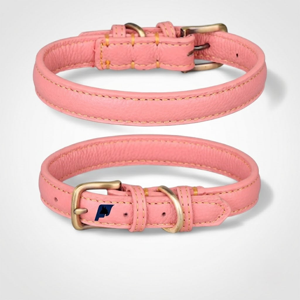 Frenchie-Full-Grain-Leather-Collar.jpg