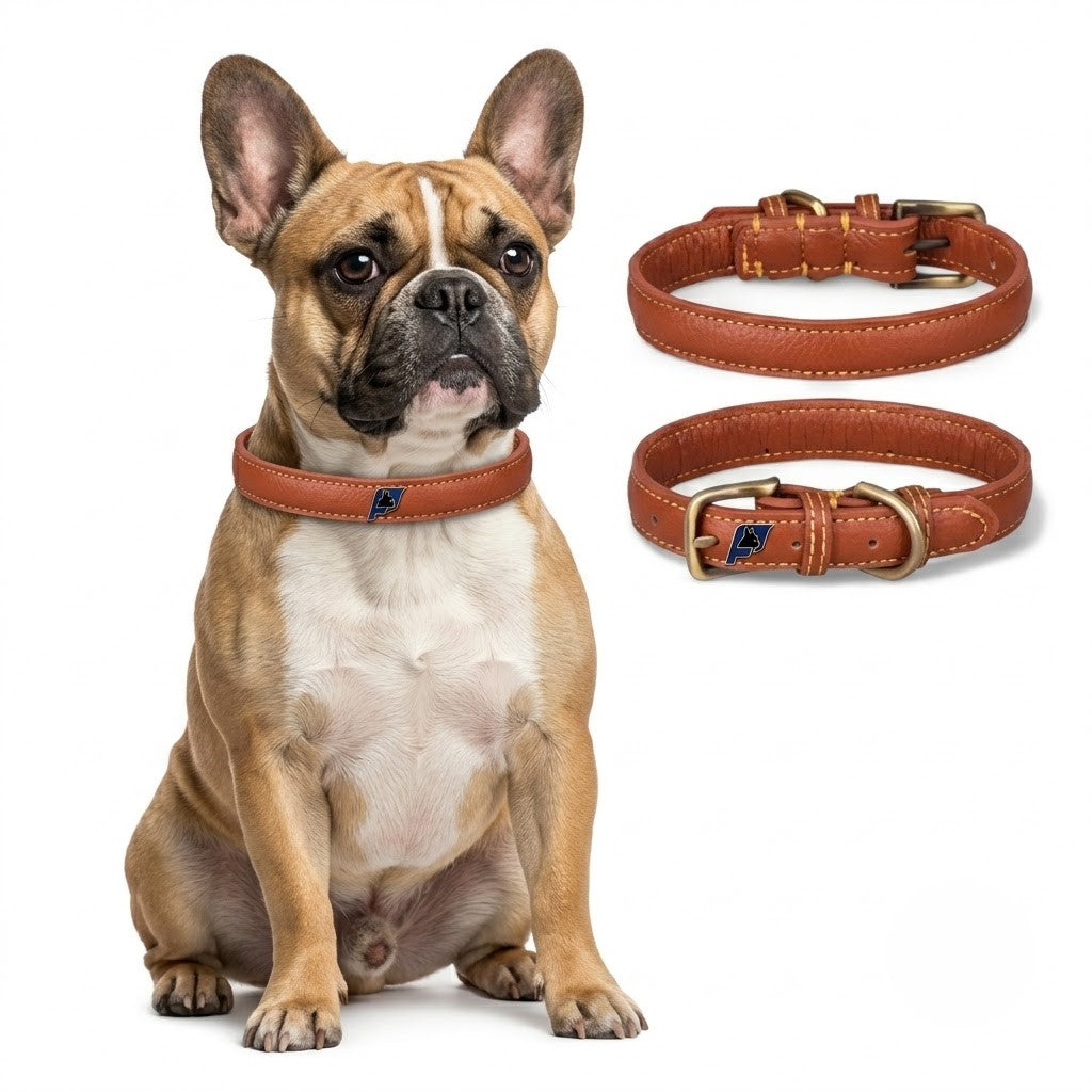 Frenchie-Full-Grain-Leather-Collar.jpg