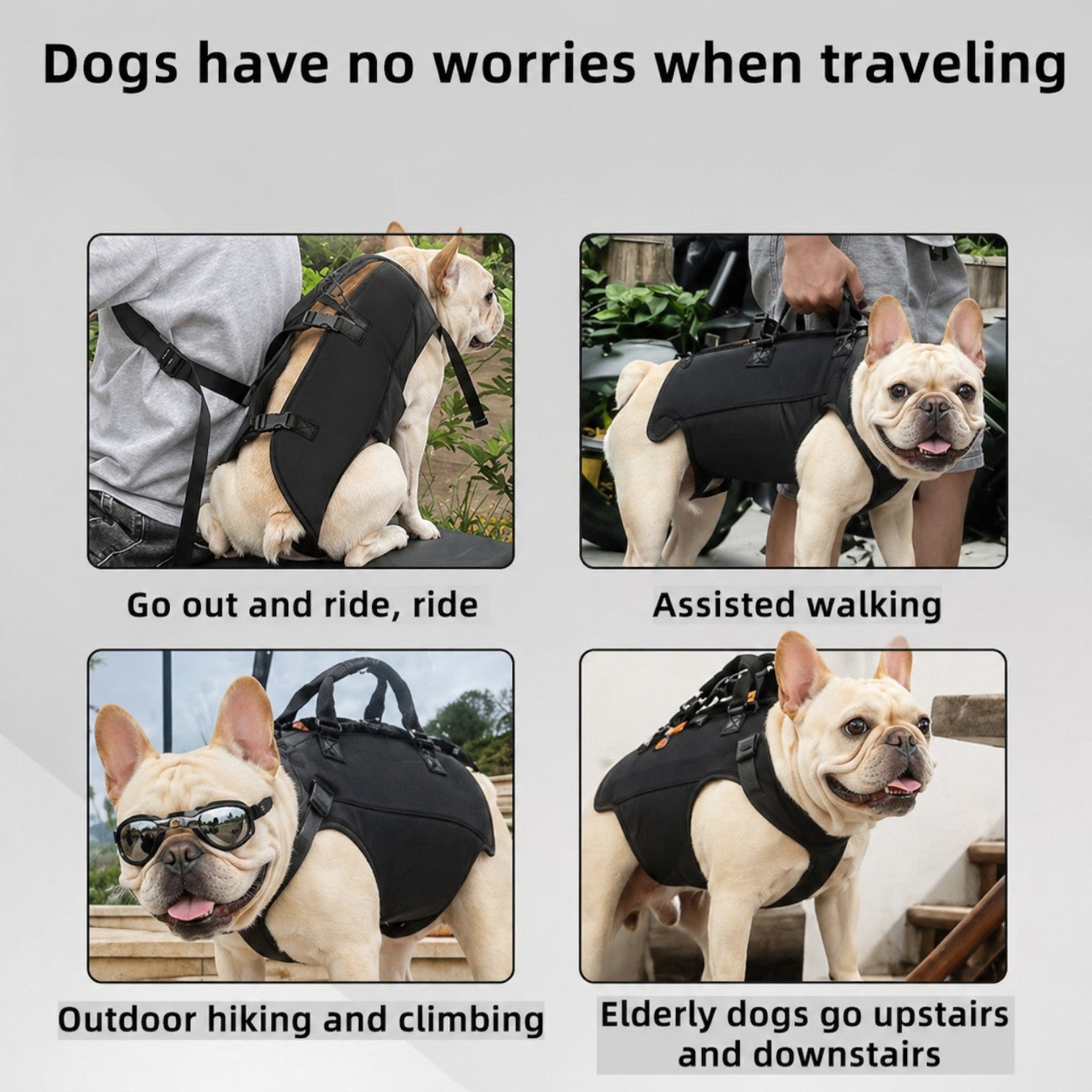 Frenchie-Hands-Free-Carrier-Backpack.jpg