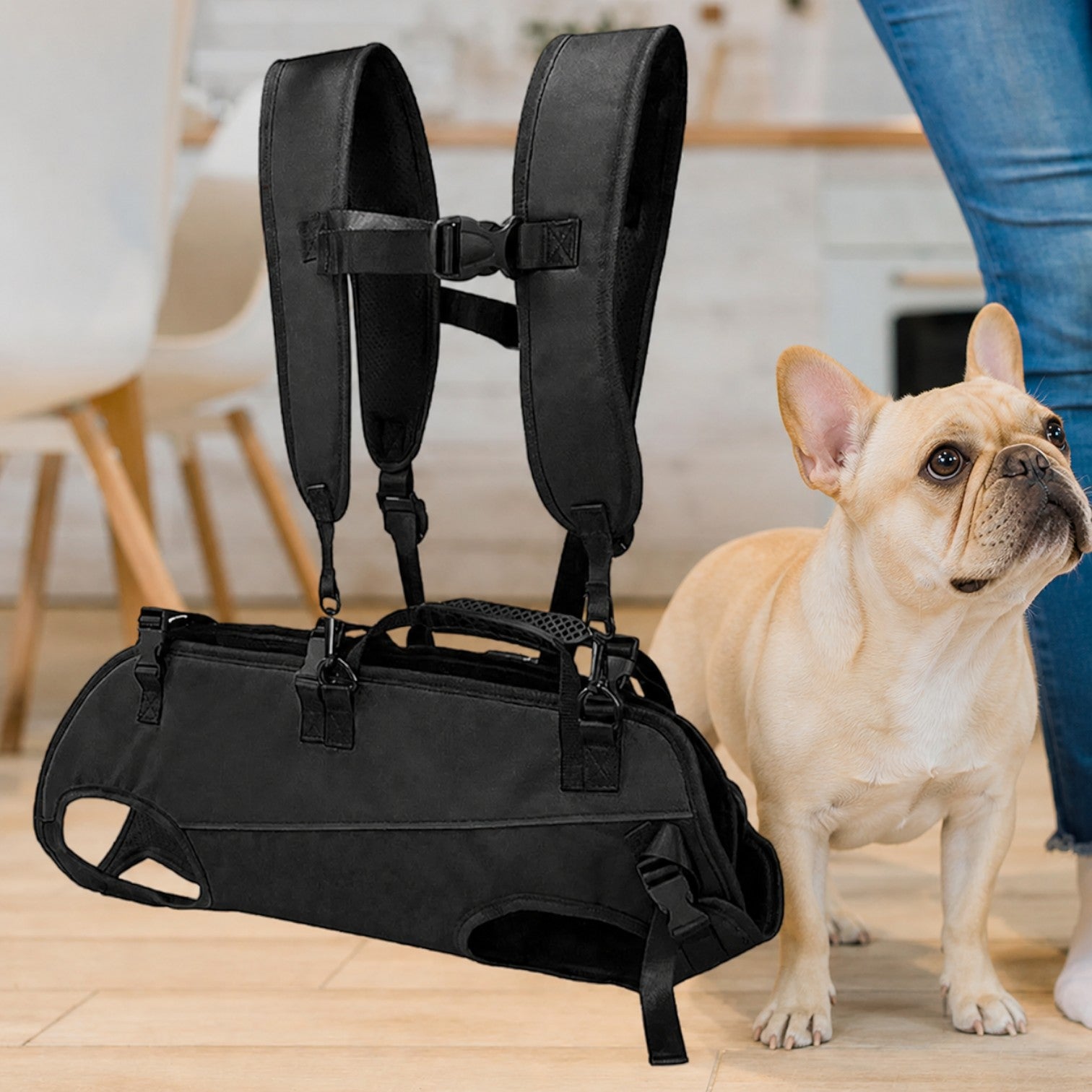 Frenchie-Hands-Free-Carrier-Backpack.jpg