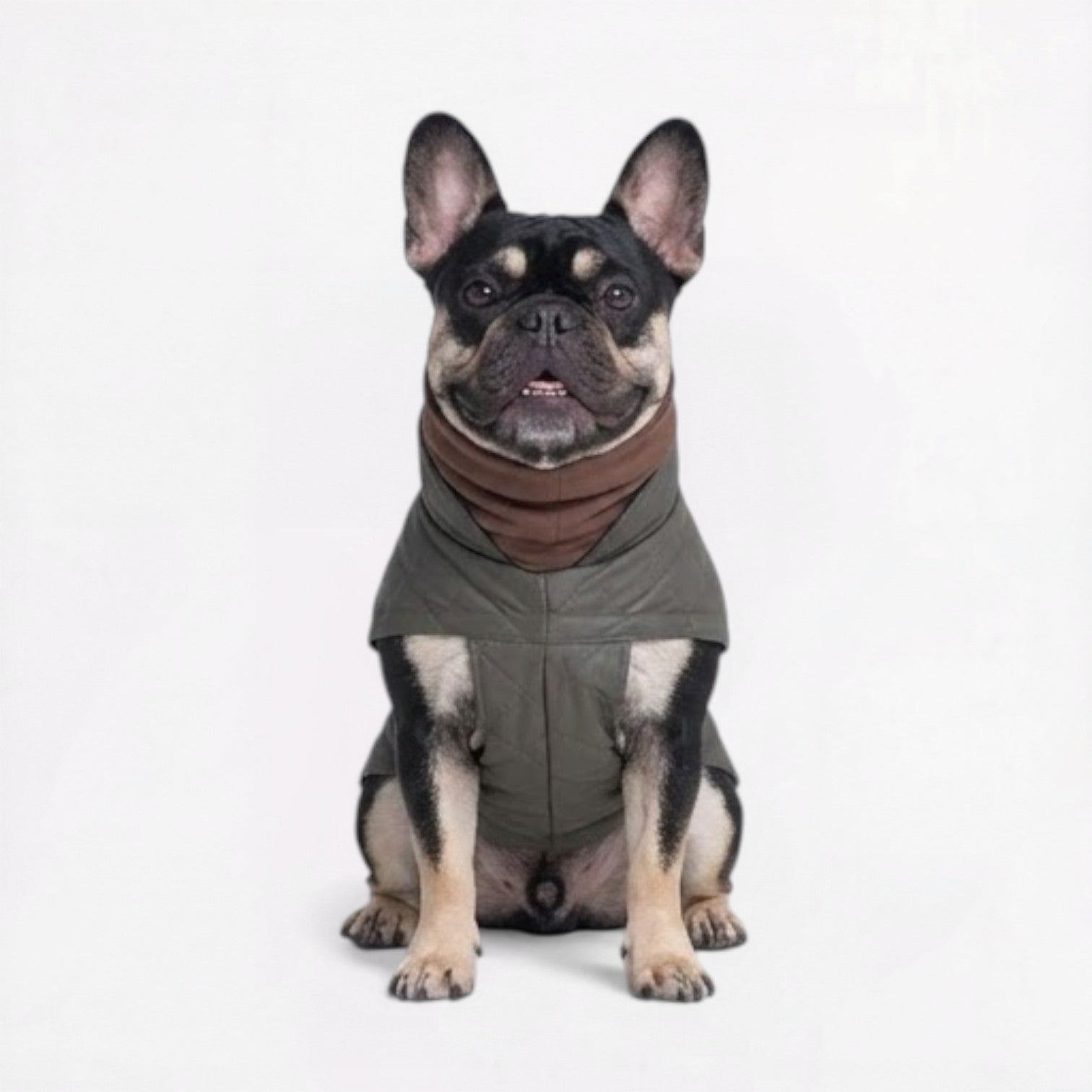 Frenchie-High-Neck-Padded-Winter-Jacket.jpg