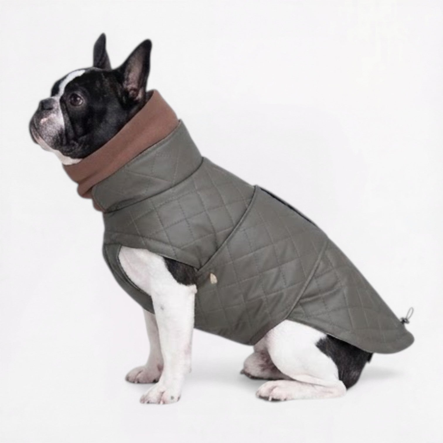 Frenchie-High-Neck-Padded-Winter-Jacket.jpg