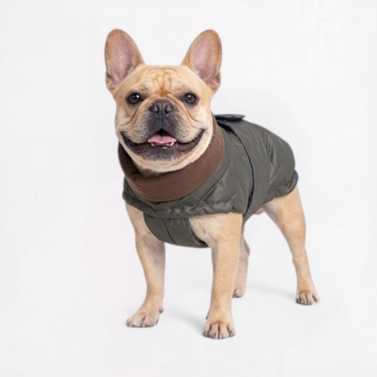Frenchie-High-Neck-Padded-Winter-Jacket.jpg