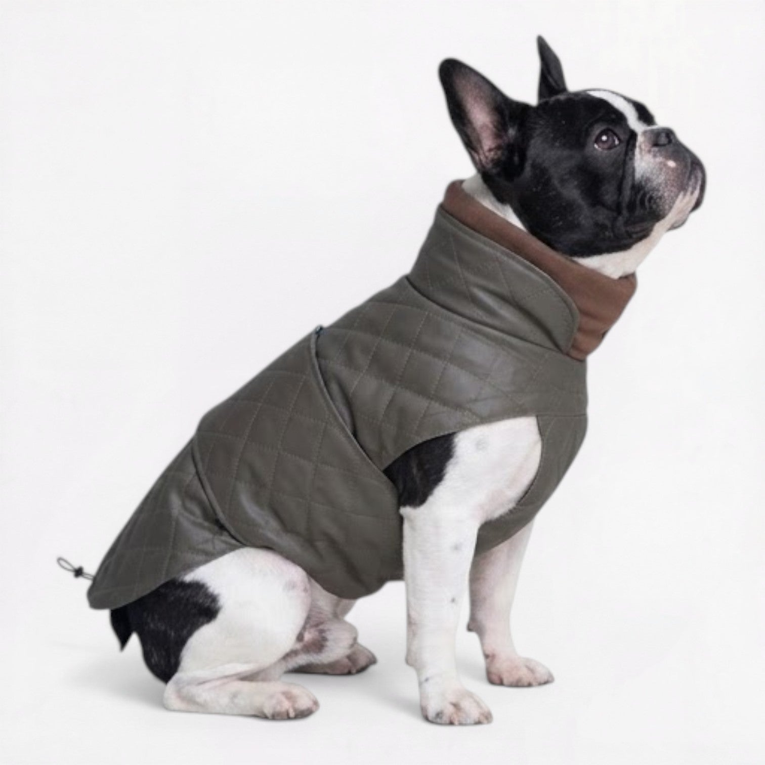 Frenchie-High-Neck-Padded-Winter-Jacket.jpg