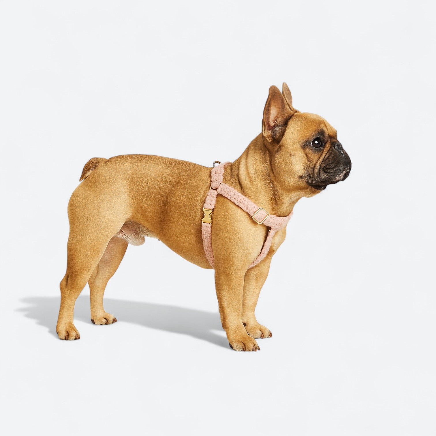 Frenchie-Luxury-Plush-Harness-Collar-Leash-Set.jpg