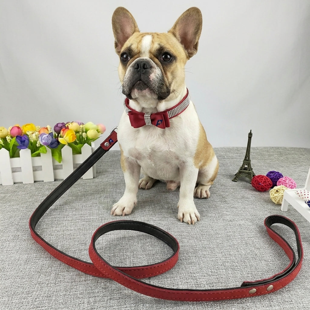 Frenchie-Luxury-Rhinestone-Collar-Leash-Set.jpg