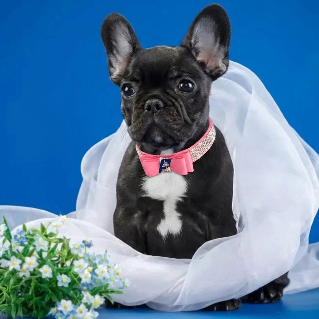 Frenchie-Luxury-Rhinestone-Collar-Leash-Set.jpg