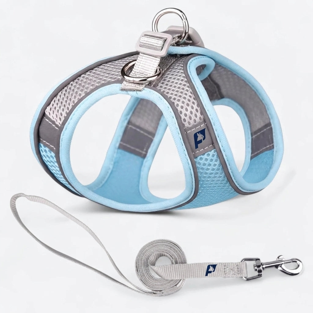 Frenchie-Mesh-Reflective-Harness-Leash-Set.jpg