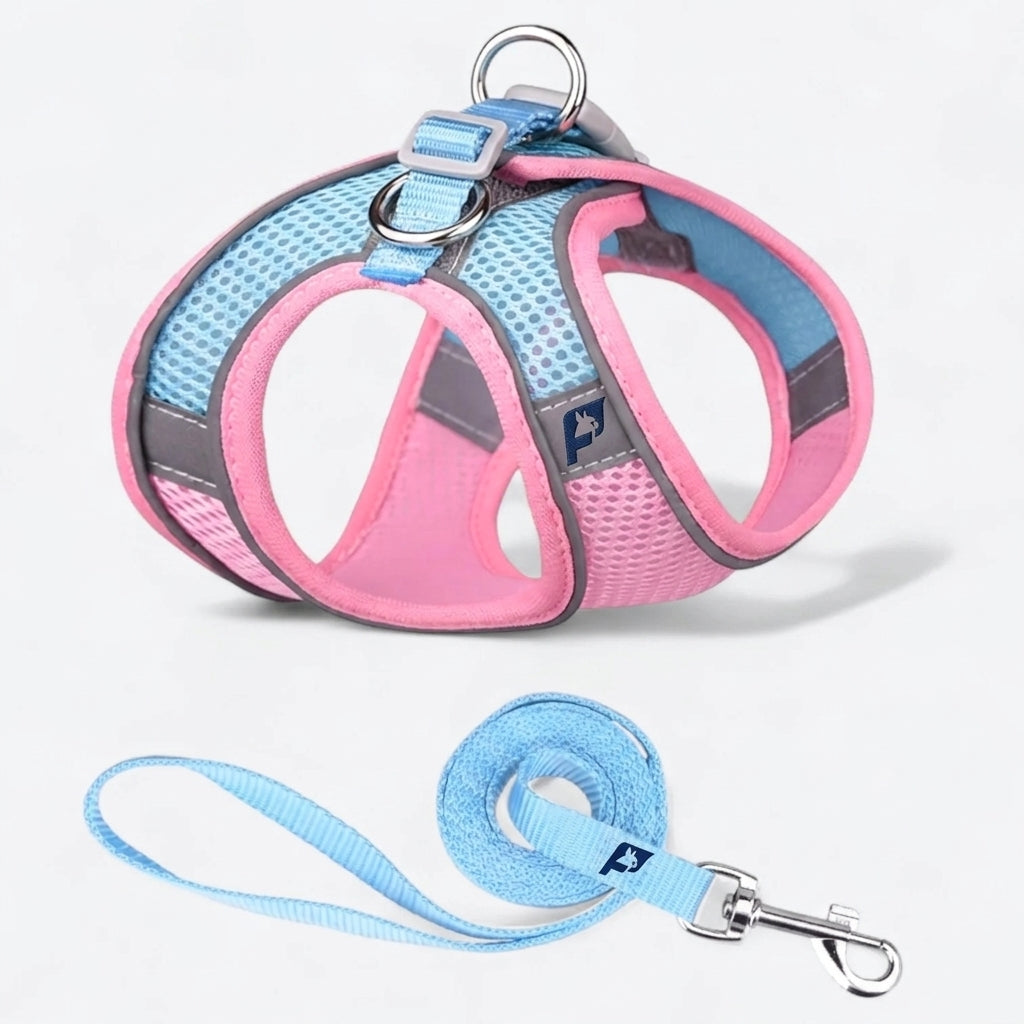 Frenchie-Mesh-Reflective-Harness-Leash-Set.jpg