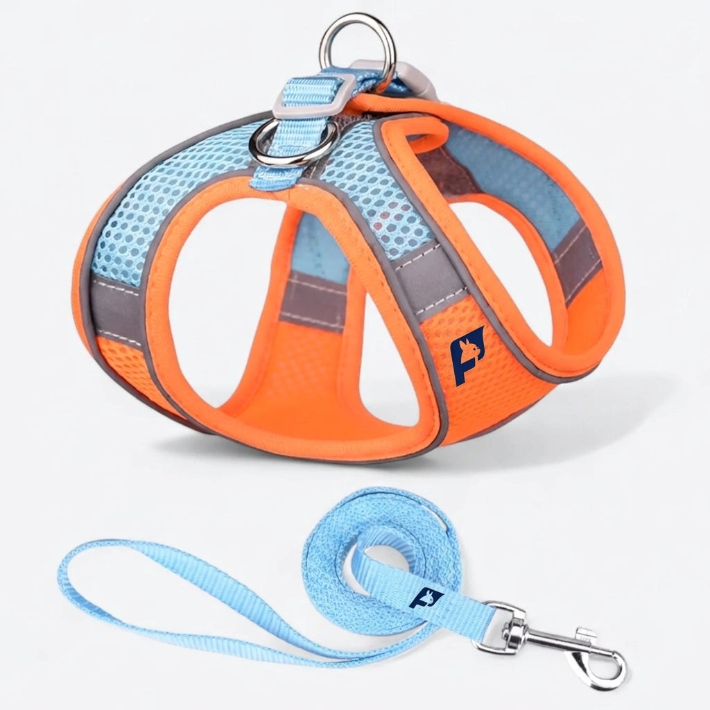 Frenchie-Mesh-Reflective-Harness-Leash-Set.jpg