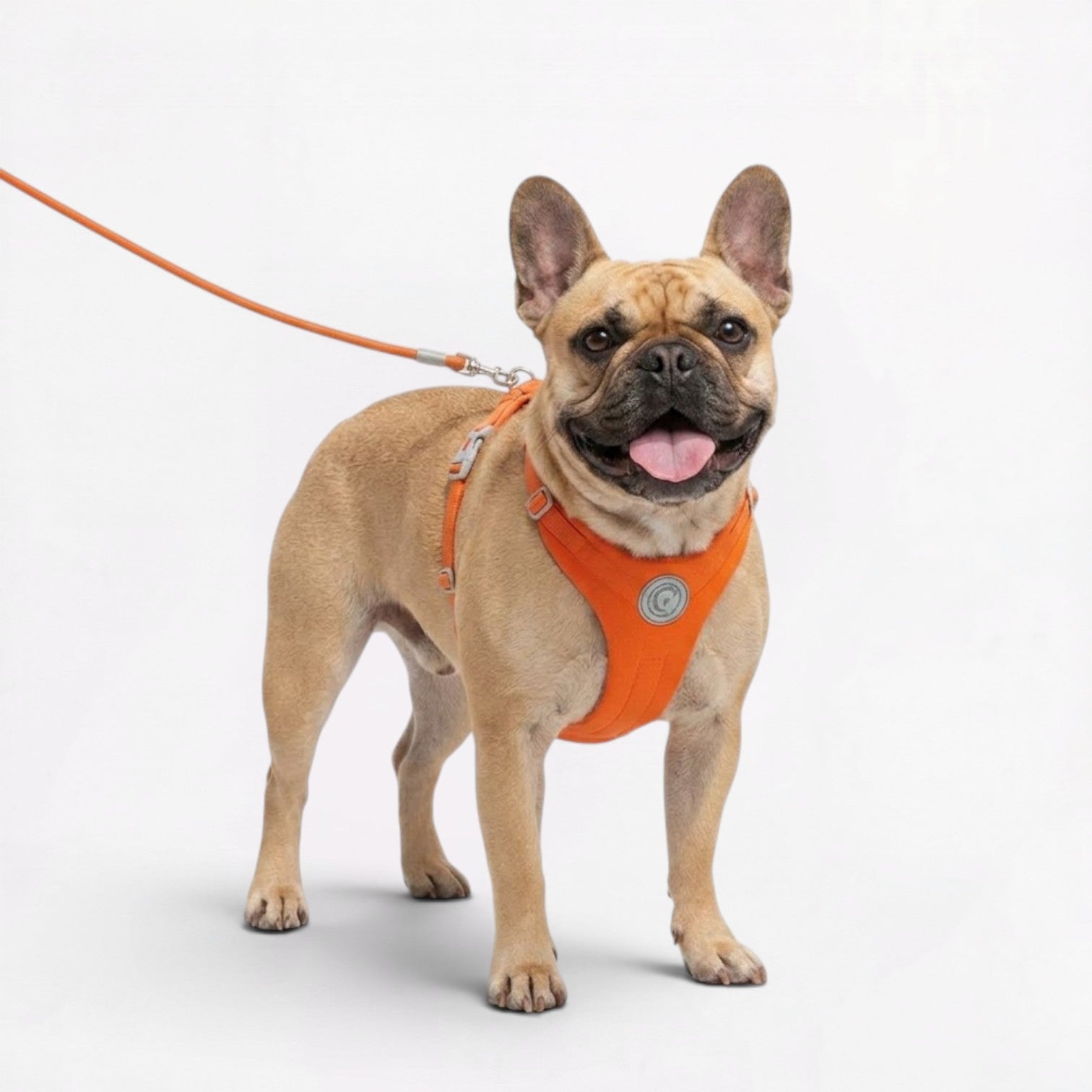 Frenchie-No-Pull-Harness-Leash-Set.jpg