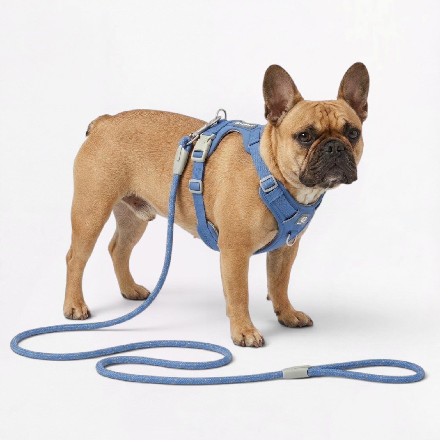 Frenchie-No-Pull-Harness-Leash-Set.jpg
