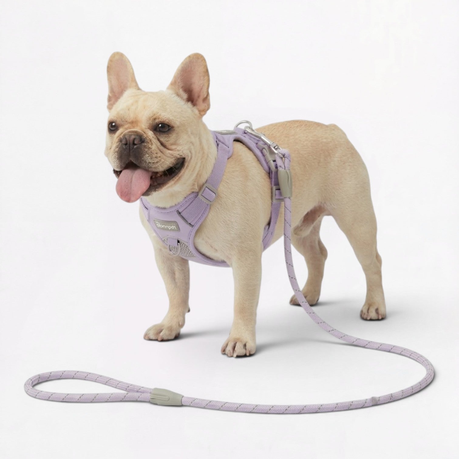 Frenchie-No-Pull-Harness-Leash-Set.jpg