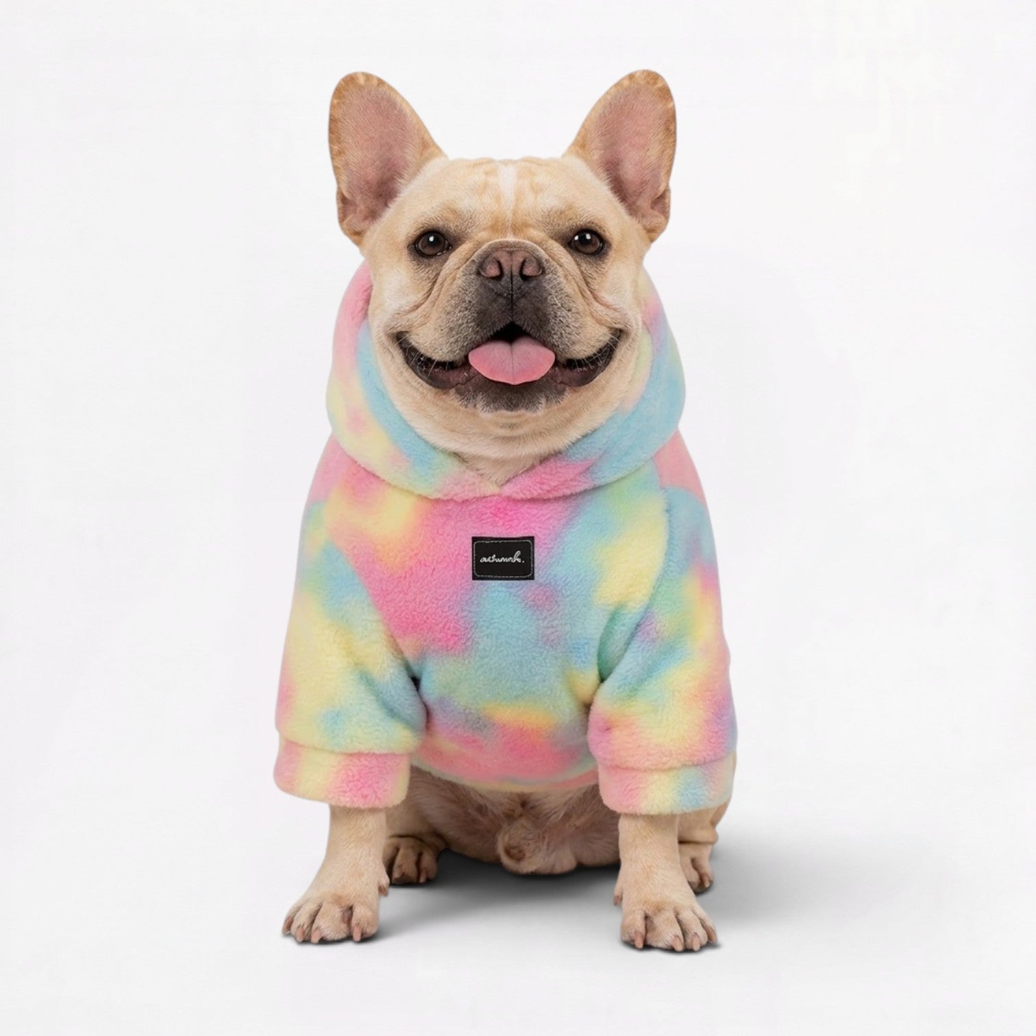 Frenchie-Owner-Cozy-Rainbow Tie-Dye-Matching-Hoodie.jpg