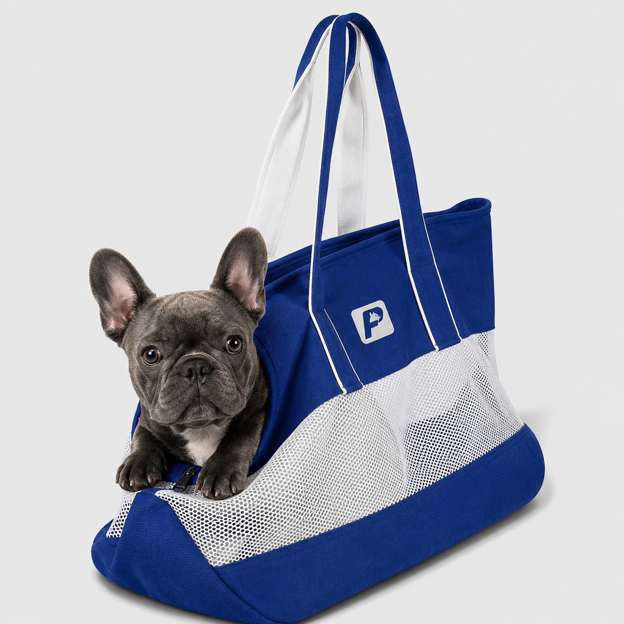 Frenchie-Portable-Breathable-Mesh-Carrier.jpg