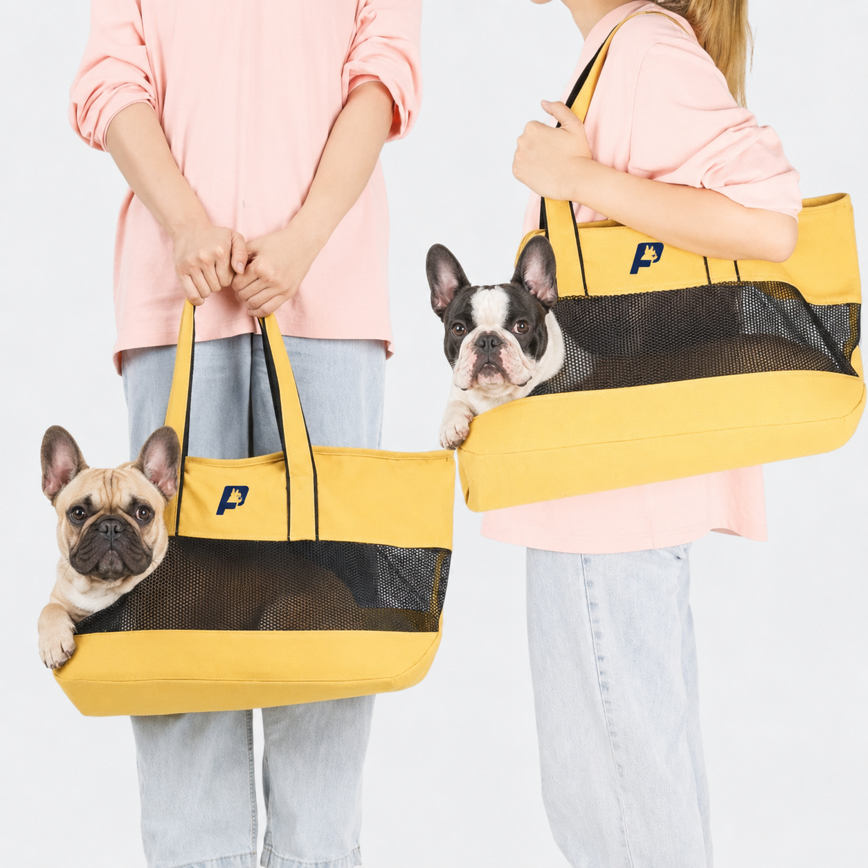 Frenchie-Portable-Breathable-Mesh-Carrier.jpg