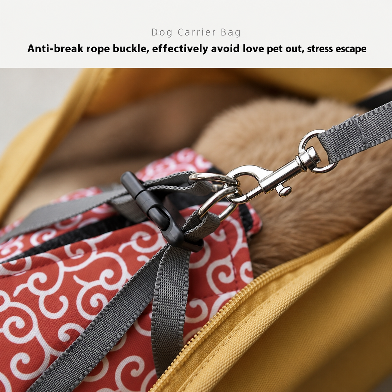 Frenchie-Portable-Breathable-Mesh-Carrier.jpg