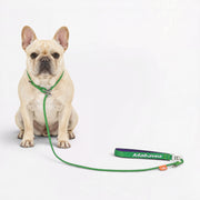 Frenchie-Professional-P-Rope-Leash.jpg
