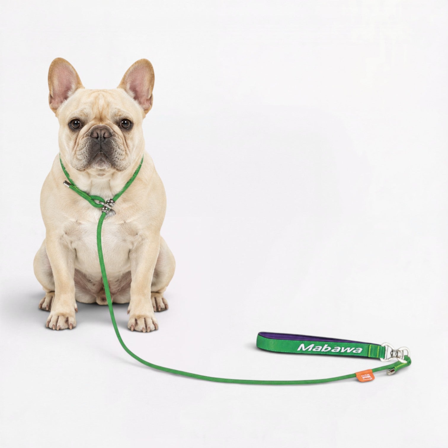 Frenchie-Professional-P-Rope-Leash.jpg