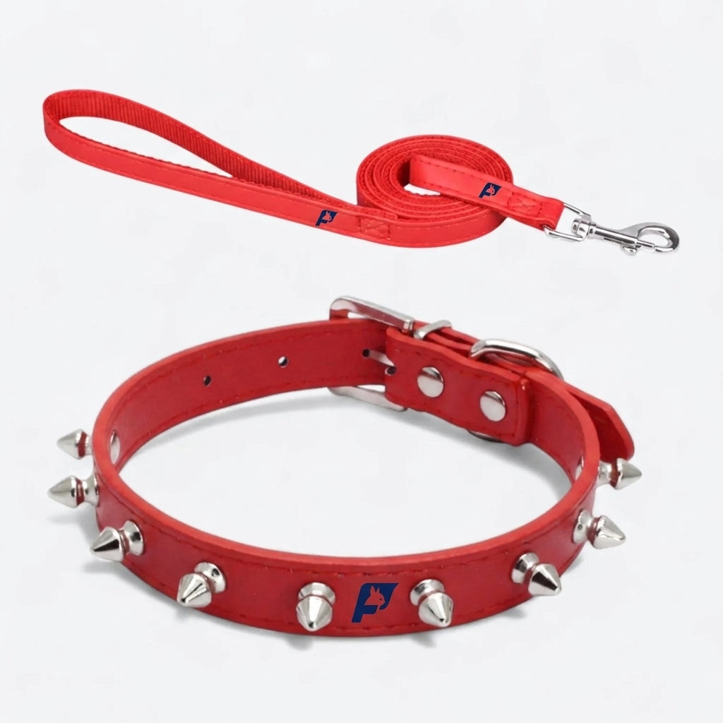 Frenchie-Punk-Collar-Leash-Set.jpg
