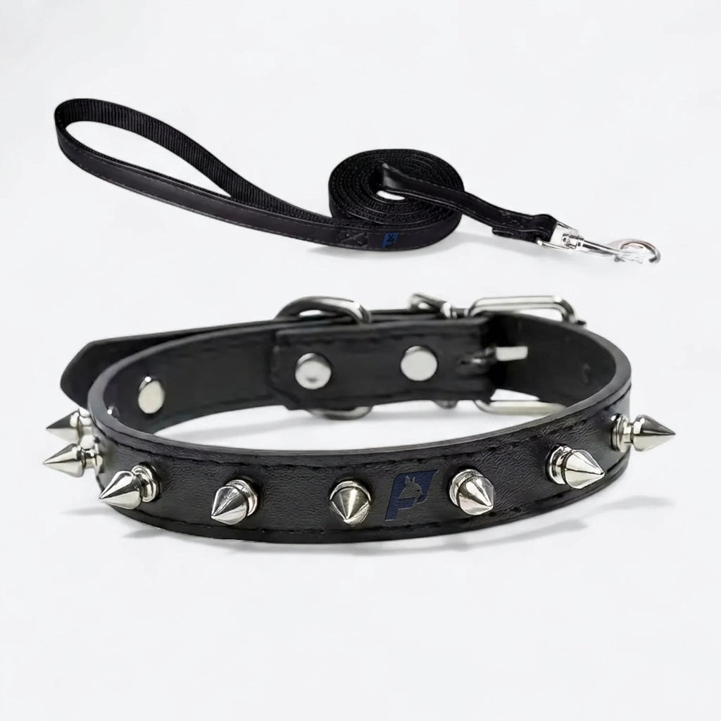 Frenchie-Punk-Collar-Leash-Set.jpg