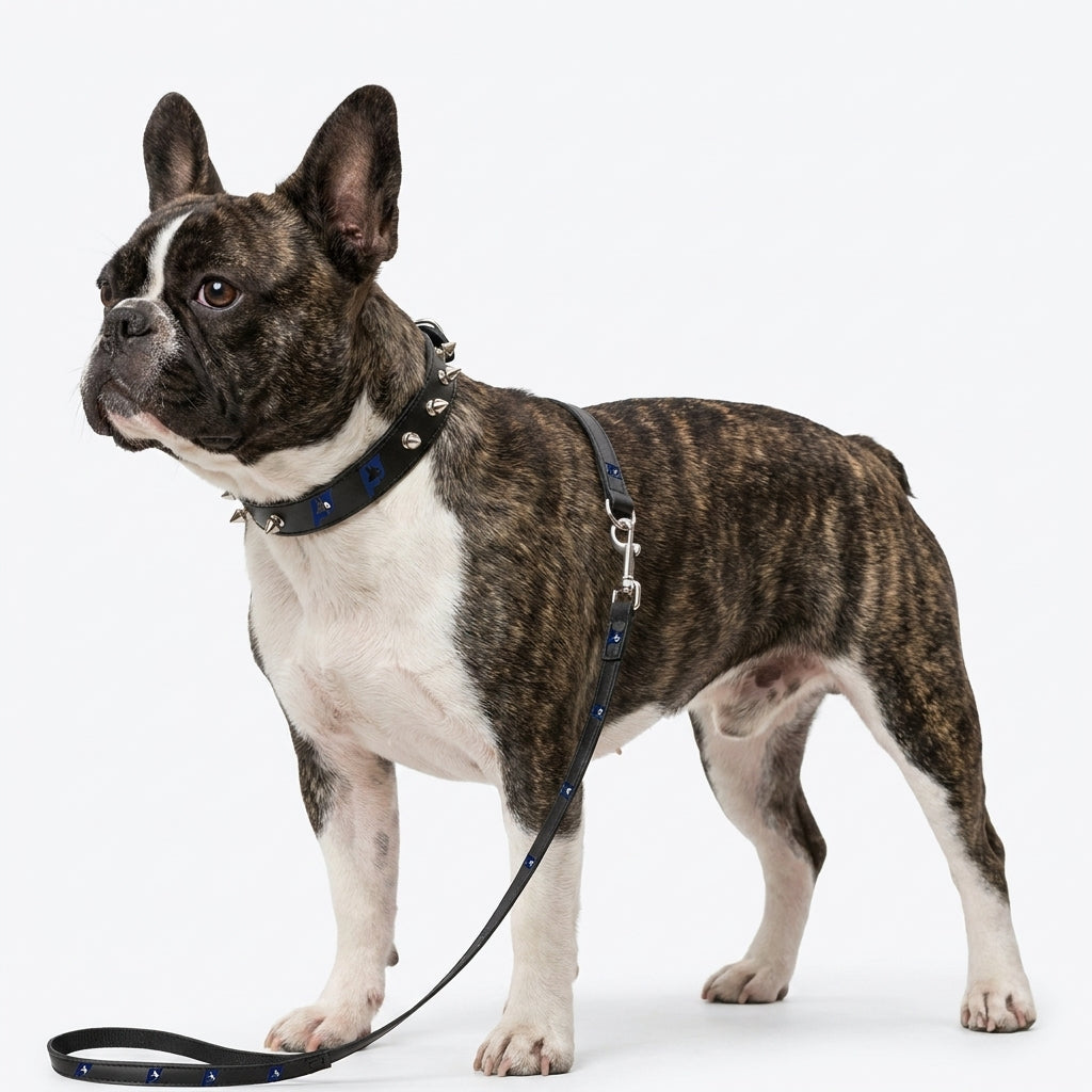 Frenchie-Punk-Collar-Leash-Set.jpg