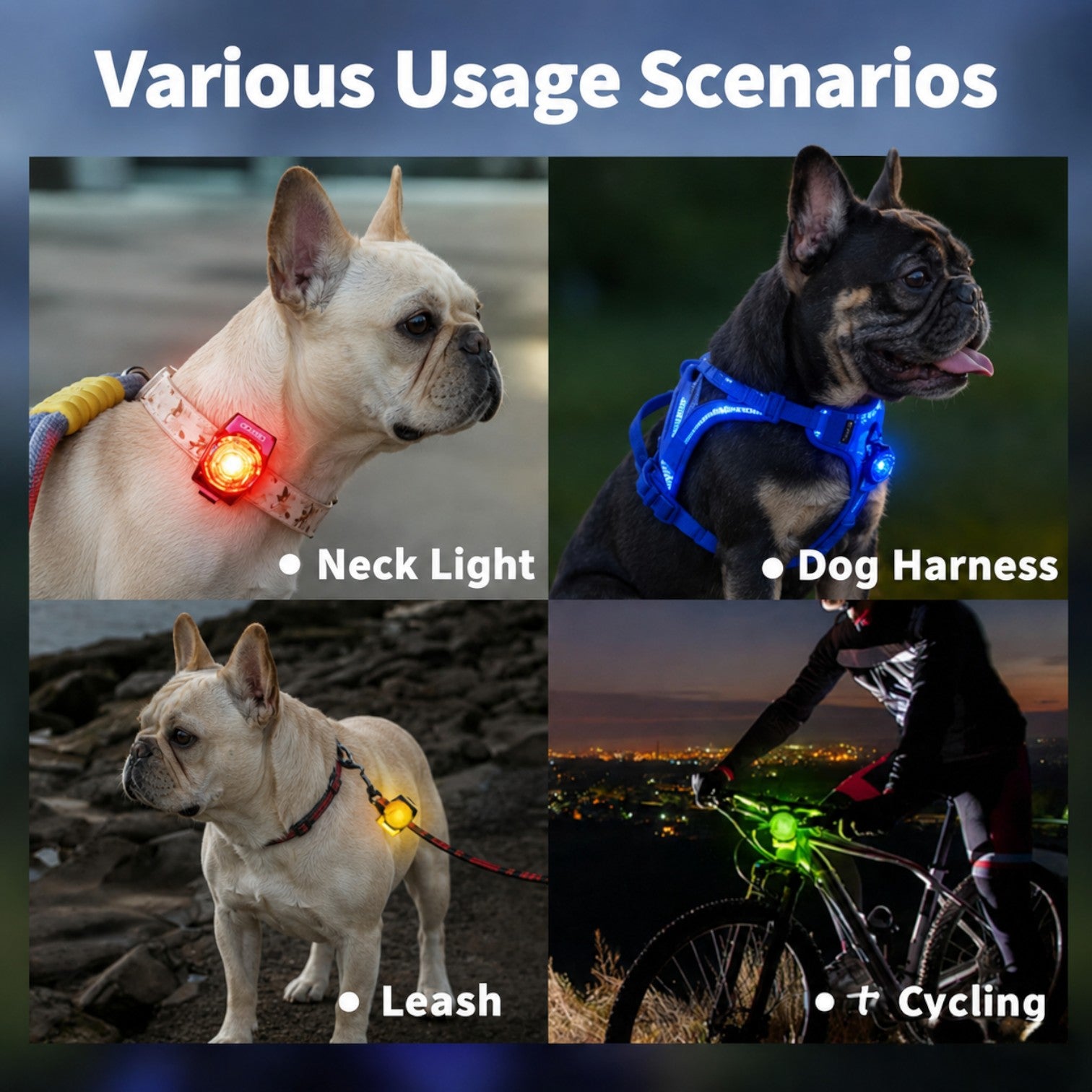 Frenchie-Rechargeable-LED-Walking-Collar-Light.jpg