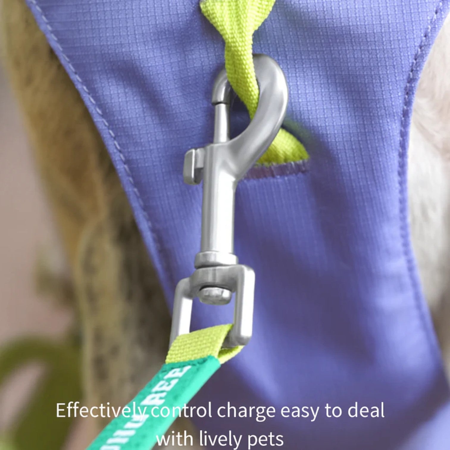 Frenchie-Reflective-Adjustable-Harness-Leash-Set.jpg