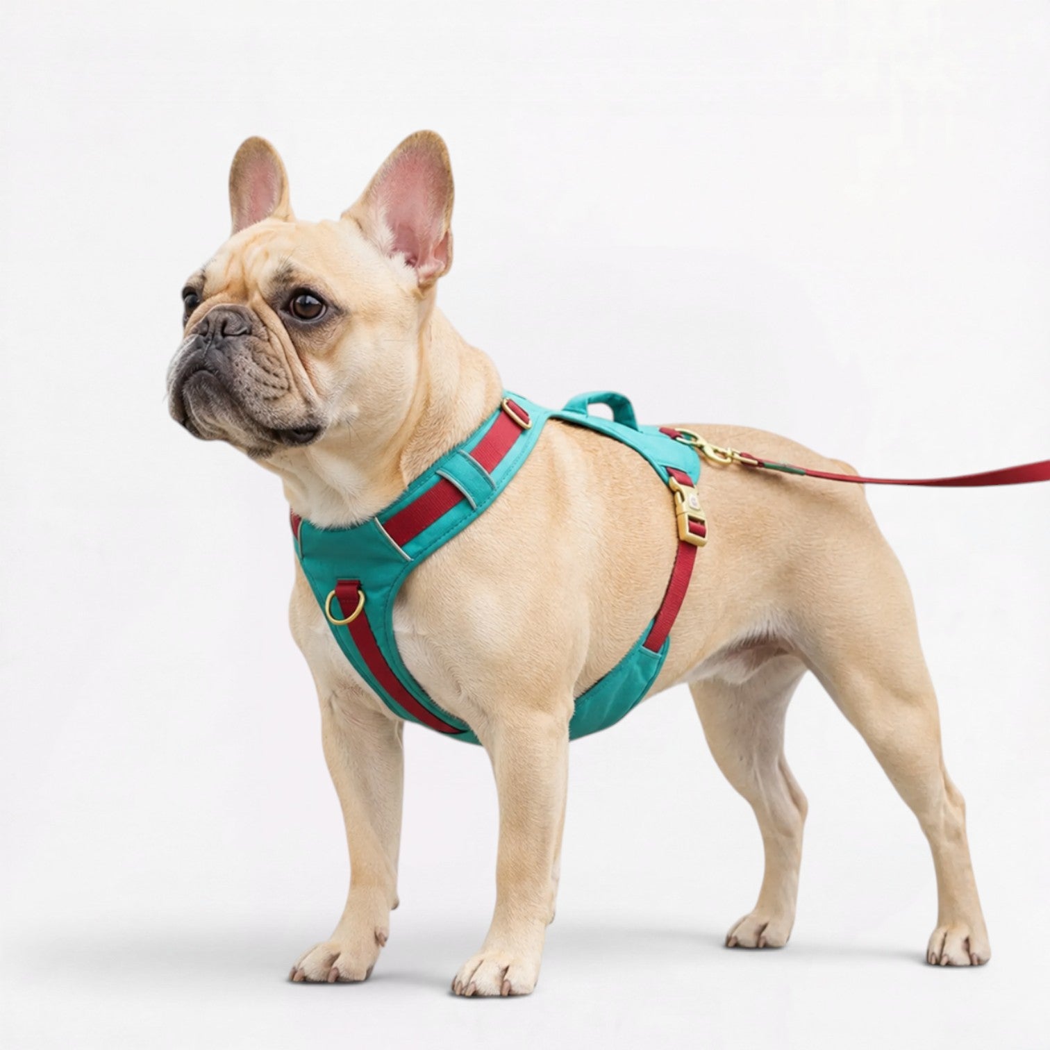 Frenchie-Reflective-Adjustable-Harness-Leash-Set.jpg